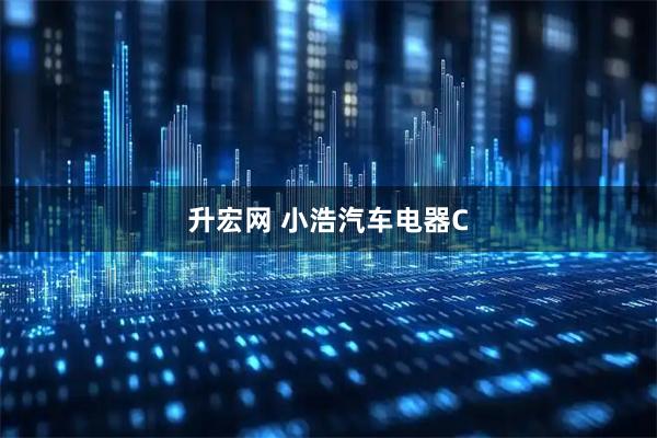升宏网 小浩汽车电器C