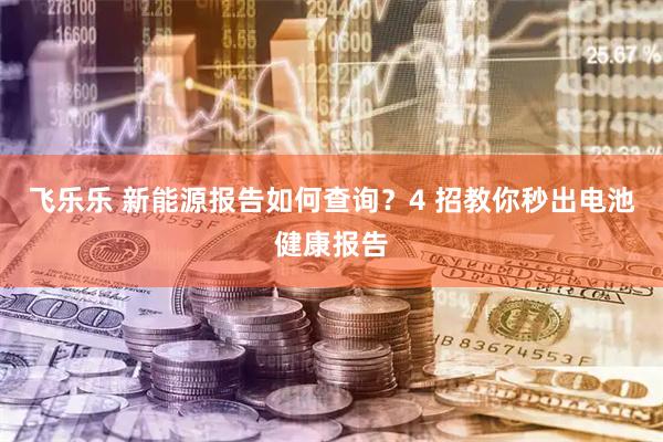 飞乐乐 新能源报告如何查询？4 招教你秒出电池健康报告