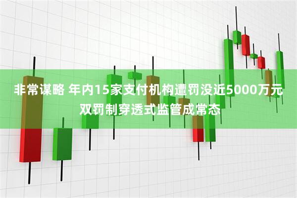 非常谋略 年内15家支付机构遭罚没近5000万元 双罚制穿透式监管成常态