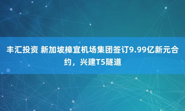 丰汇投资 新加坡樟宜机场集团签订9.99亿新元合约，兴建T5隧道