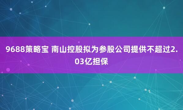 9688策略宝 南山控股拟为参股公司提供不超过2.03亿担保