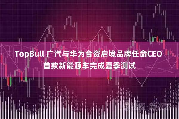 TopBull 广汽与华为合资启境品牌任命CEO 首款新能源车完成夏季测试