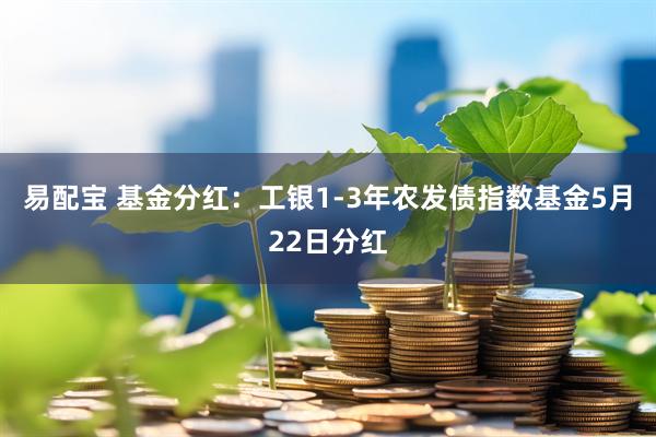 易配宝 基金分红：工银1-3年农发债指数基金5月22日分红