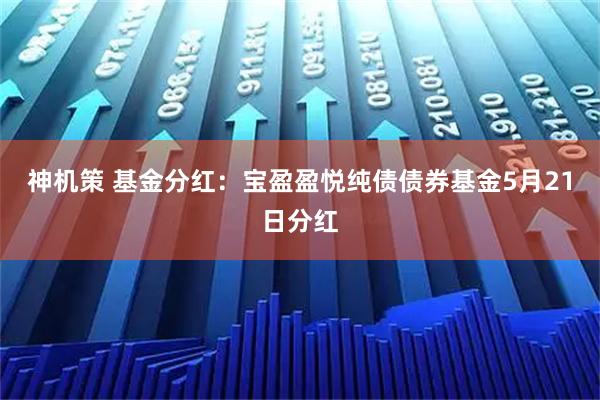 神机策 基金分红：宝盈盈悦纯债债券基金5月21日分红