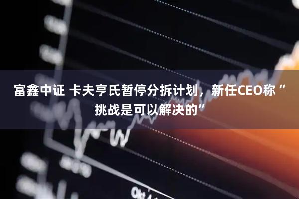 富鑫中证 卡夫亨氏暂停分拆计划，新任CEO称“挑战是可以解决的”